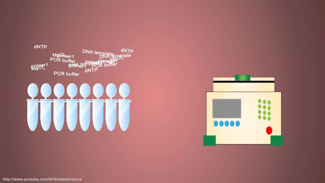 Basics of practical RT-qPCR NL104